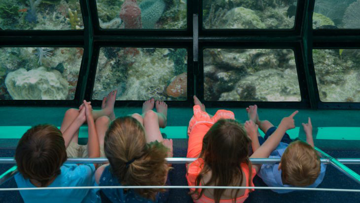 Image of people viewing the coral reef on a Glass Bottom Boat Tour