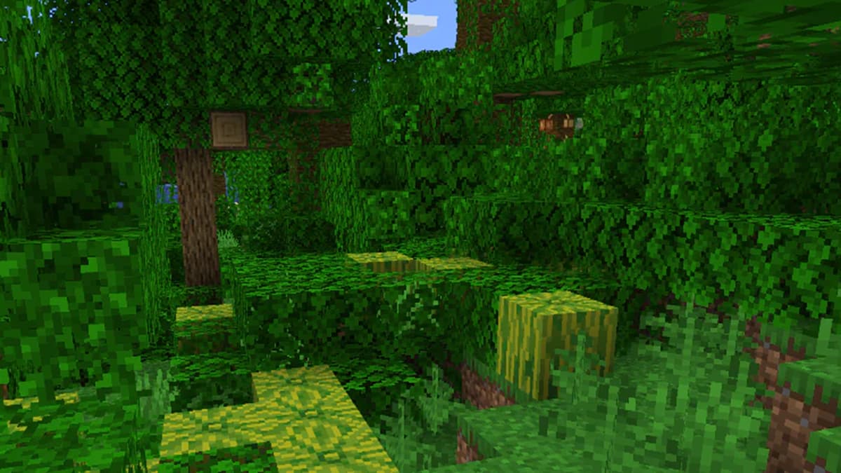 Jungle Biome Minecraft