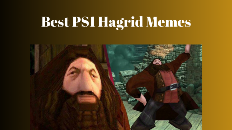 Best PS1 Hagrid Memes