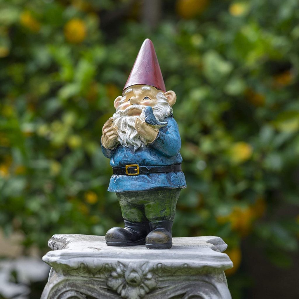 The World Of Garden Gnomes