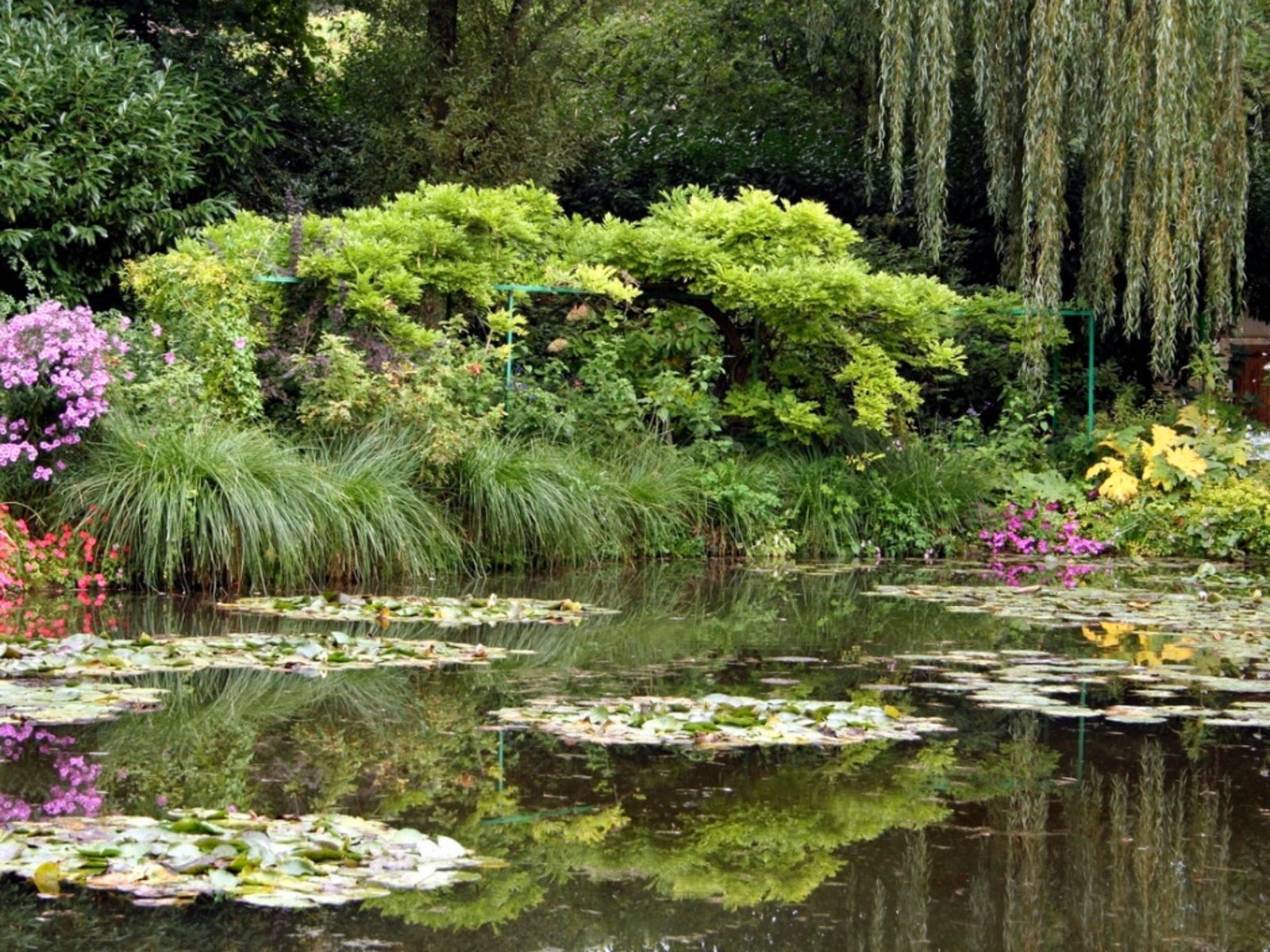 Monet Flowers