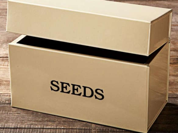 Seed Box