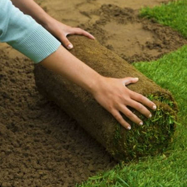 Lawn Turfing Topsoil - Image 3