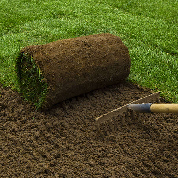 Lawn Turfing Topsoil - Image 4