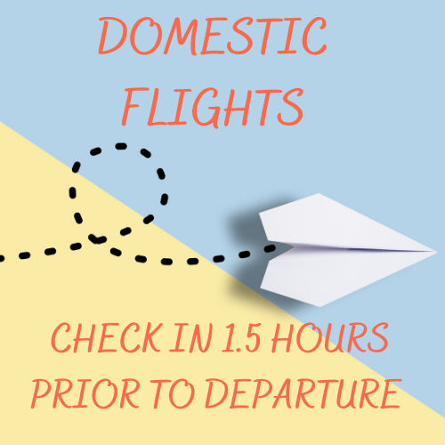 Gatwick North Terminal - domestic flights