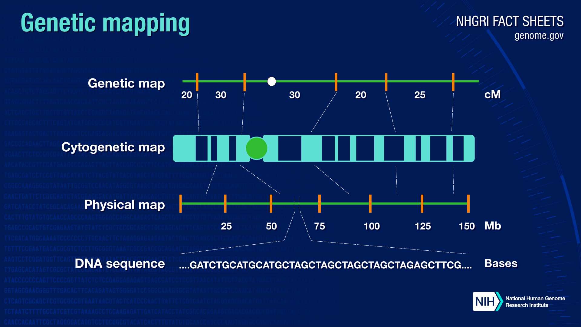 Human Genome Project Map