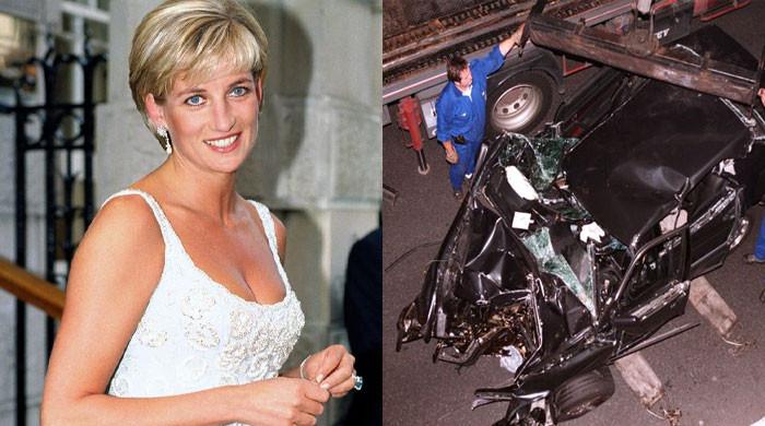 Princess Diana lost her life in ‘botched MI6 operation’: claims ex ...