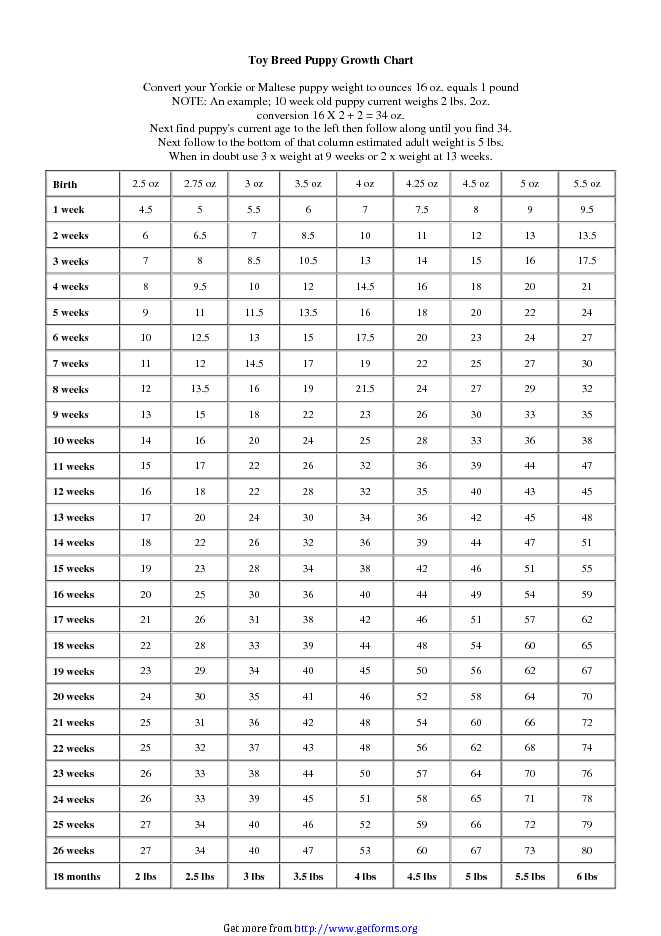 Stature-For-Age Percentiles: Boys, 2 To 20 Years - download Growth ...