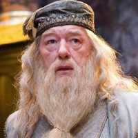 profile_Albus Dumbledore Hairstyle