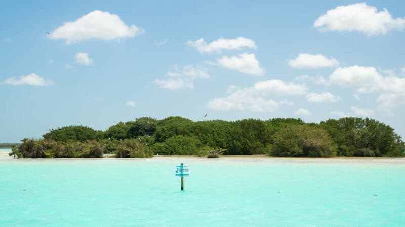 View from a boat tour of isla de los pájaros bird island in Bacalar Lagoon