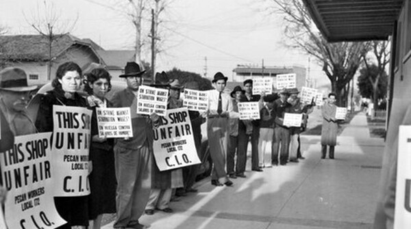 “Striking pecan shellers picketing on the sidewalk in front of the Southern Pecan Shelling Company at 135 East Cevallos Street,” February 25, 1938. San Antonio Libraries Special Collections, 