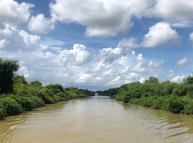 Mangroves in the Bhitarkanika Wetland, ©GIZ/Dr. Avantika Bhaskar