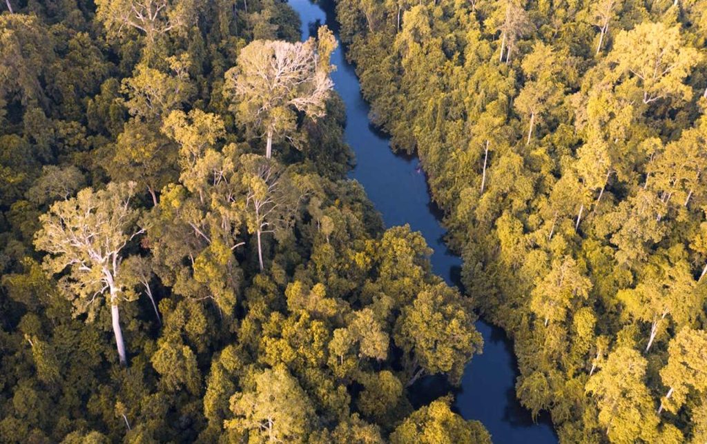 Parque Nacional Taman Negara, Malasia: guía de visitas