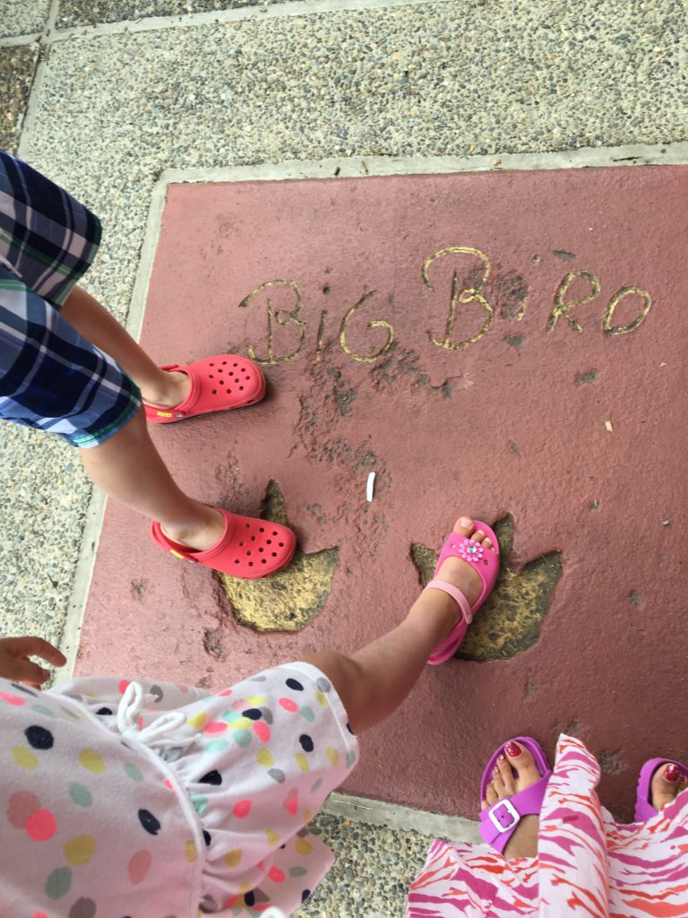 Water shoes like Crocs are a must-have for visiting Sesame Place in the summer.