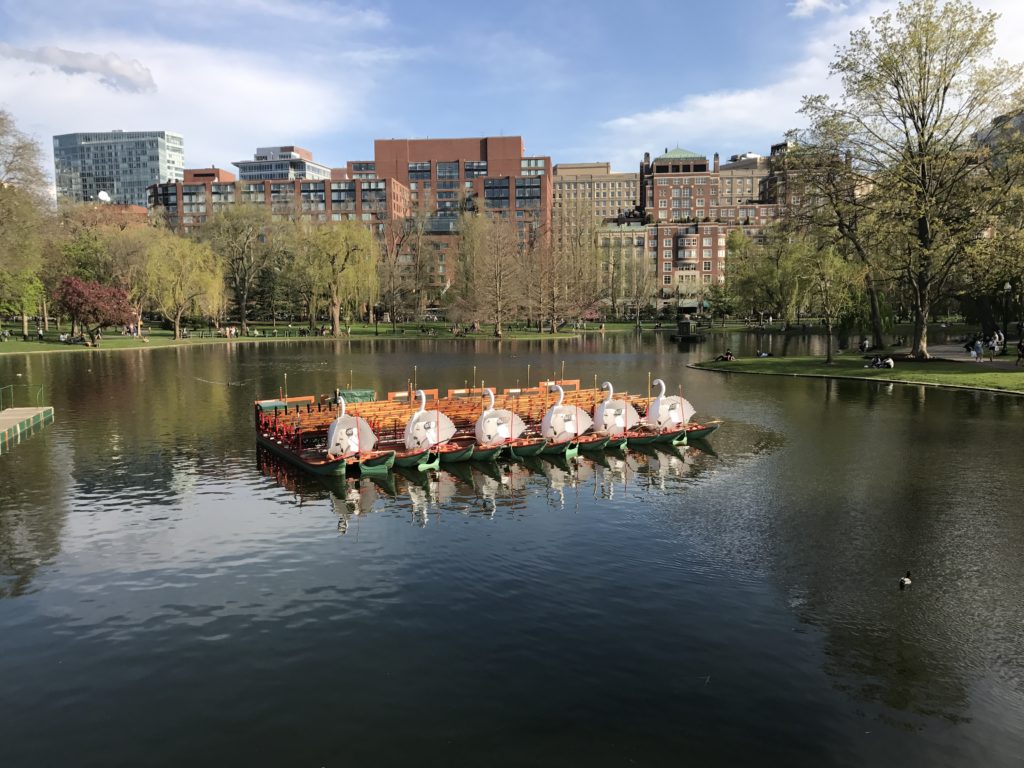 Swan Boats, Boston, Family, Trip