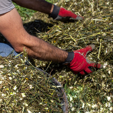 Sustainable Gloves