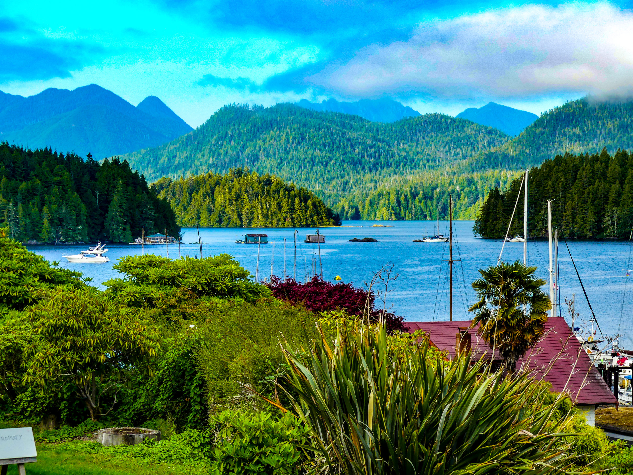 TOP 5 THINGS TO DO IN TOFINO, BRITISH COLUMBIA, IN THE SUMMER ...