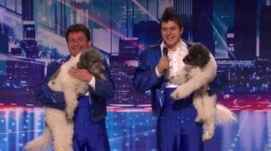 americas-got-talent-winners-Olate-Dogs