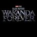 Black Panther: Wakanda Forever