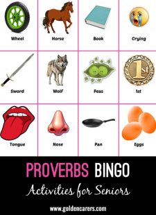 Proverbs Bingo