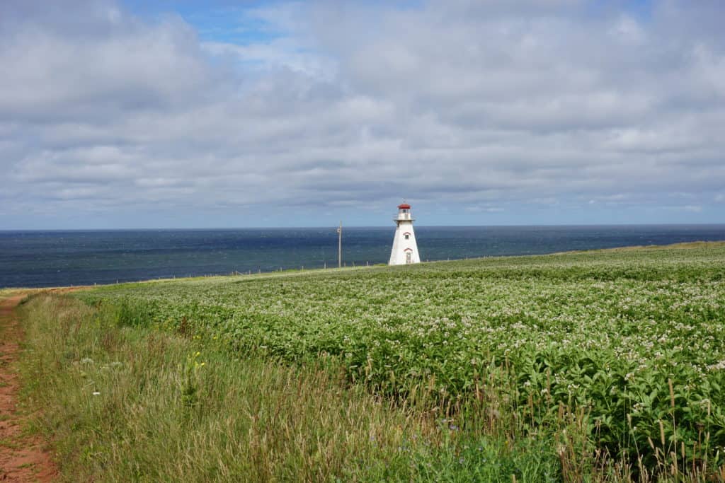 Green field with white and red trimmed lighthouse in distance facing ocean.