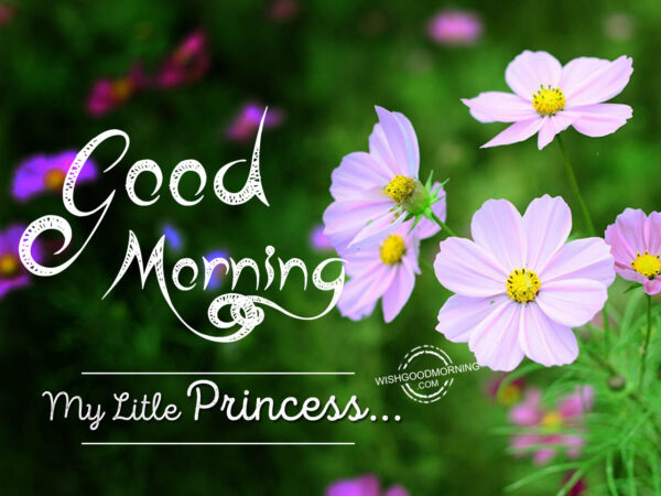 Awesome Good Morning Princess Photo