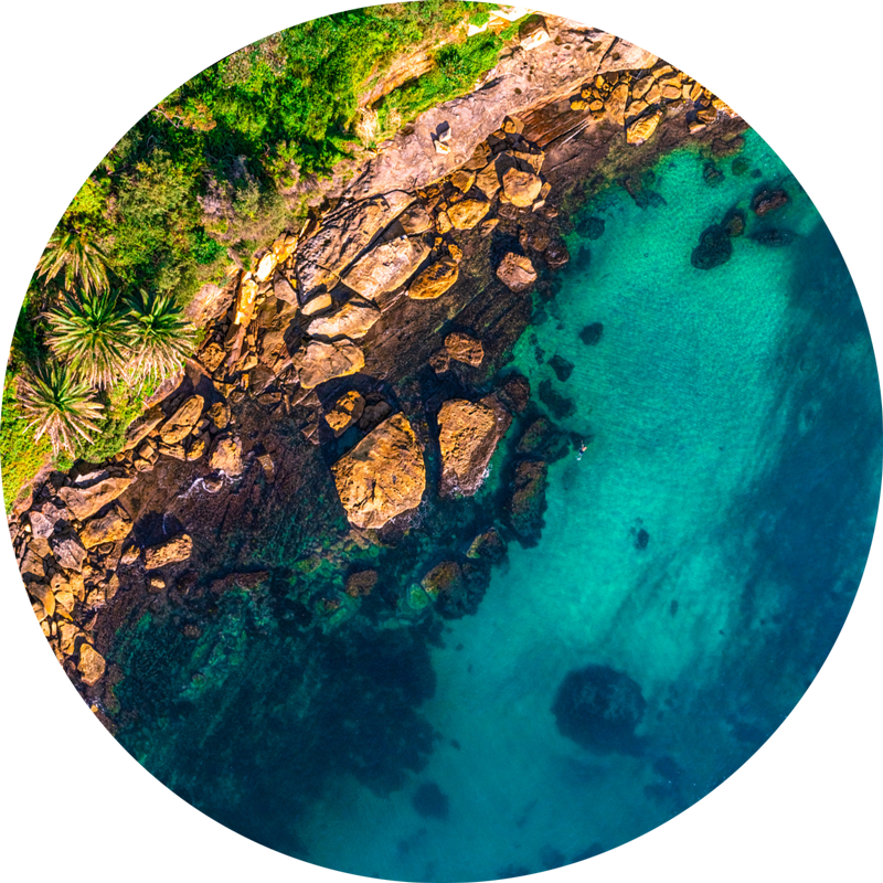 Gordons Bay Ocean Aerial. ChromaLuxe round metal prints of Sydneys beaches. Aerial oceanscape above the tranquil calm waters of Gordons Bay. Tropical palm trees as a swimmer enjoys a swim. Wall art delivered and ready to hang.