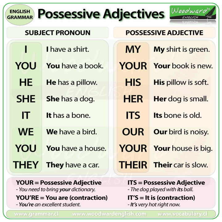 Possessive Adjectives French