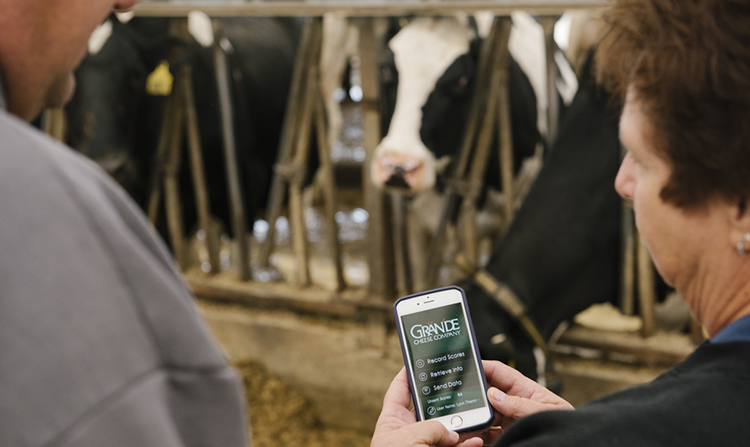 Grande Field Rep working with Dairy Farmer