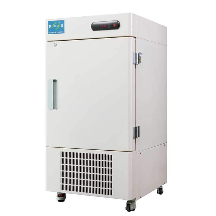 24 Ultra Cold Storage Freezers