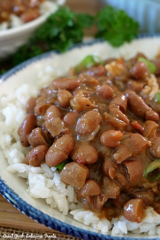 Crock Pot Spicy Beans with Rice