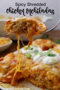 A fork with a bite of chicken enchilada on it held above the plate that has two enchiladas on it.