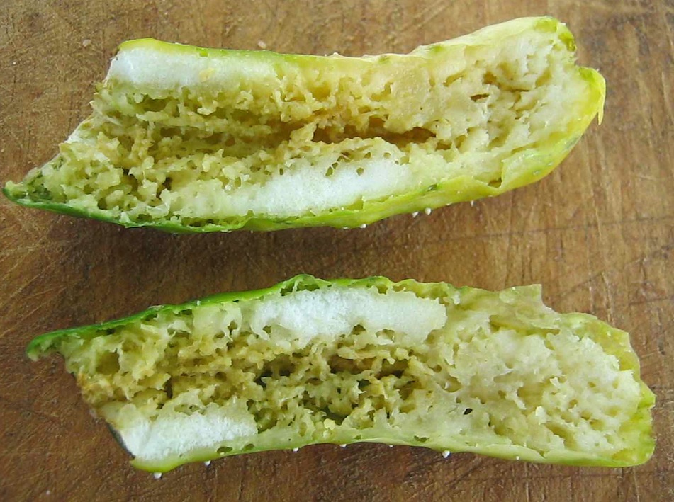 Fruit damage due to cucumber fruit fly larvae.