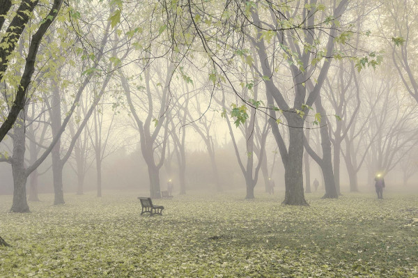 Le jardin des hommes