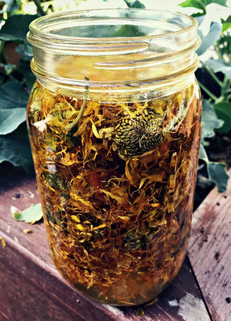 calendula infused oil for soap