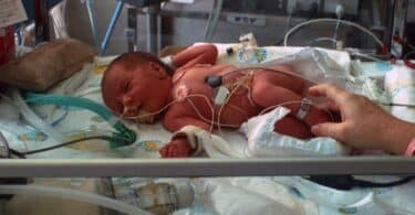 Newborn preemie in neonatal intensive care unit