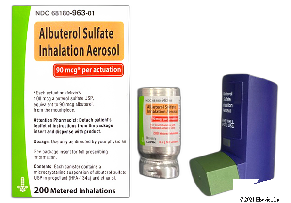 Generic Albuterol Sulfate Inhaler