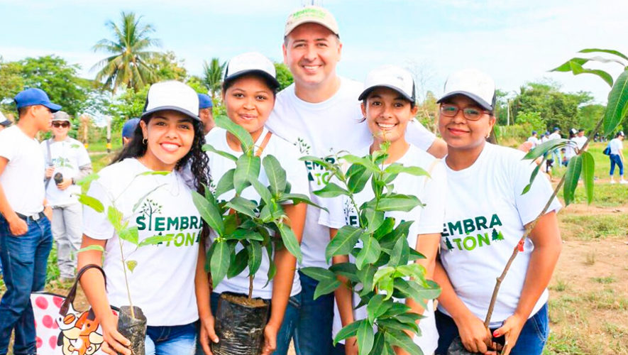 Buscan voluntarios para sembrar árboles en cinco departamentos de Guatemala en agosto 2019