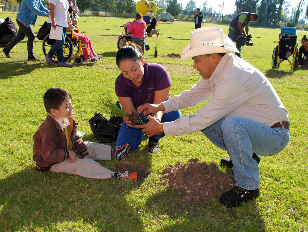 Buscan voluntarios para sembrar árboles