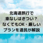 北海道旅行、車なし、きつい