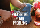 5 Cool Ways to Get a Head Start on Plant Problems