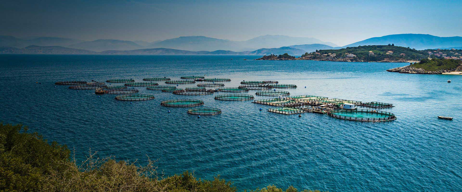 Aquaculture