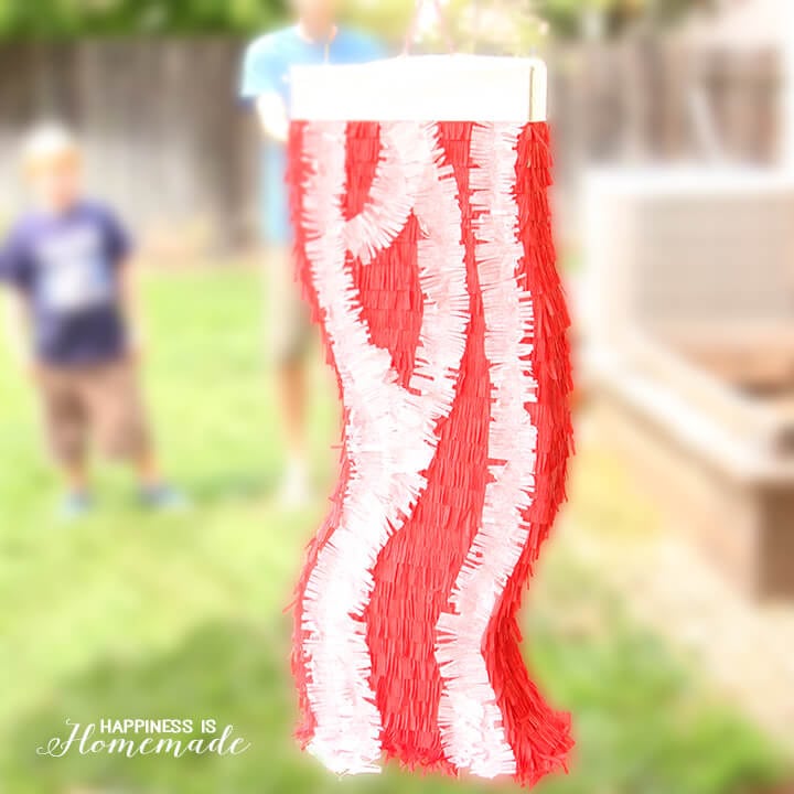 bacon pinata hung outside