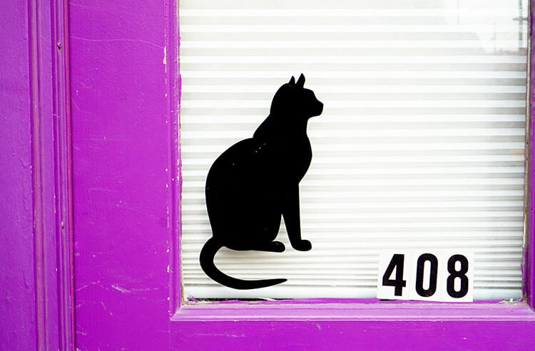 Purple Cat Door