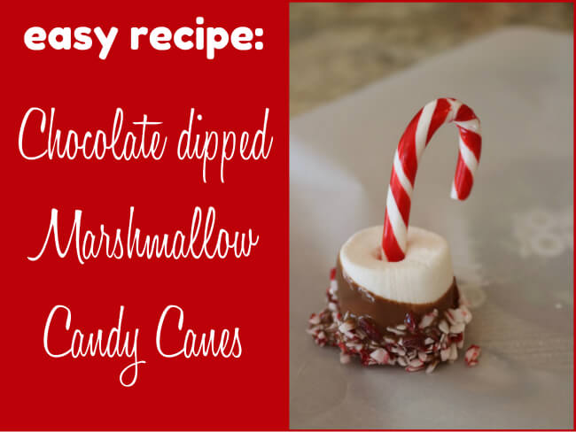 FREE Easy Candy Cane Recipe from HappyandBlessedHome.com