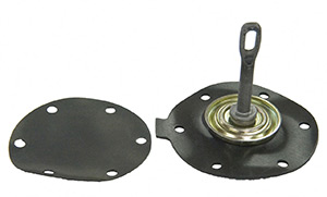 Diaphragm Kit