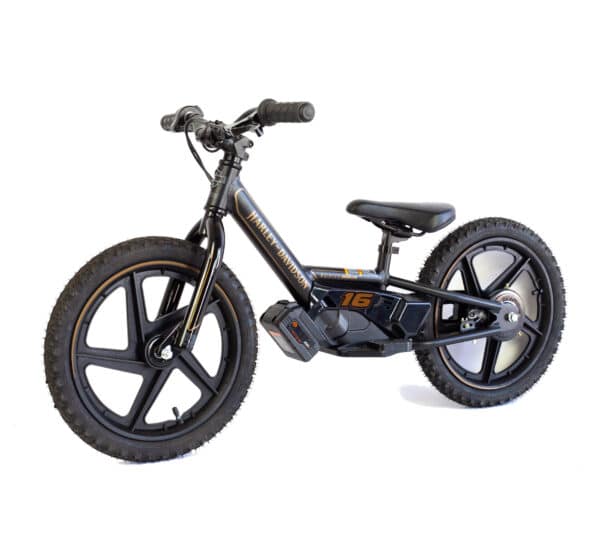 Universal Training™ Wheels for Stacyc® Husqvarna®, KTM®, Harley Iron E Electric Bikes