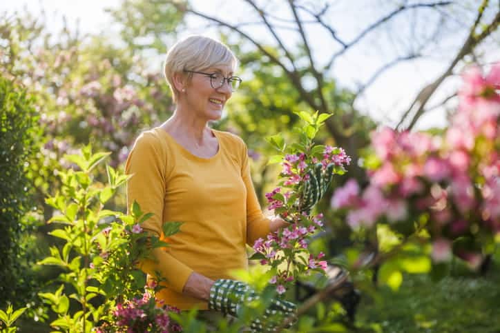 A Senior Smiling As She Gardens.