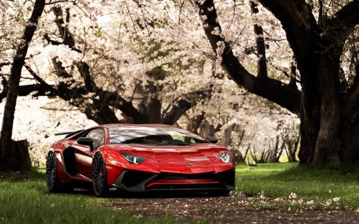 Lamborghini Aventador 4K 2