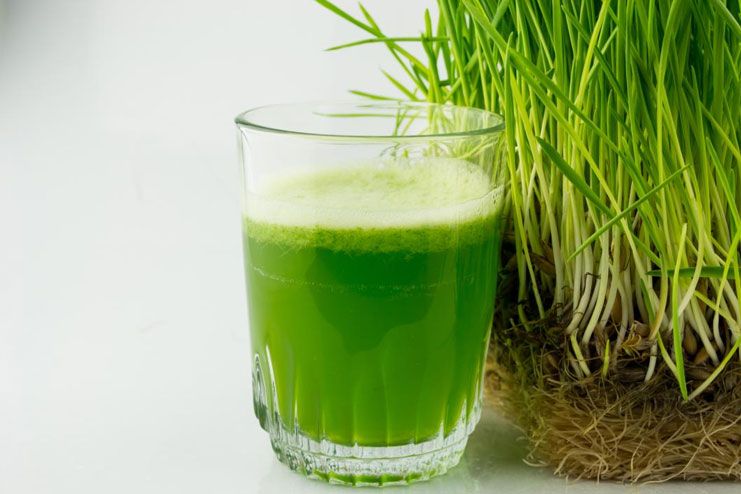 Wheatgrass juice